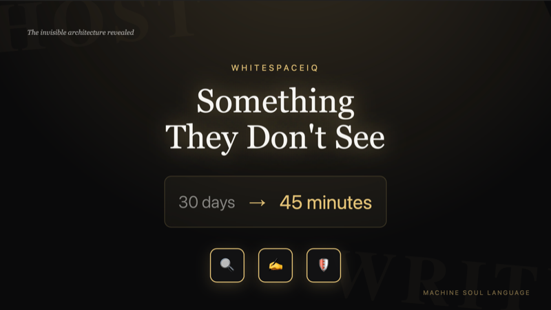 Something They Don't See